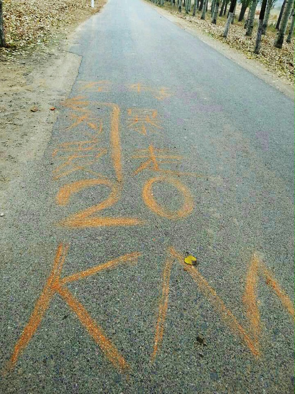 以爱之名，贴地疾行