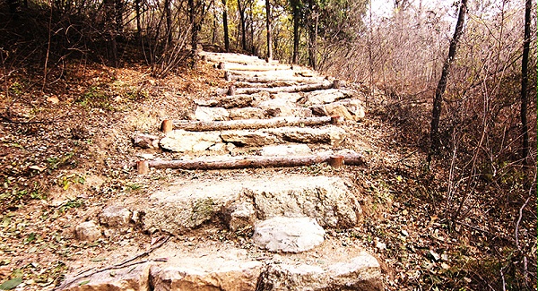 以爱之名，贴地疾行