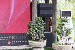 公共广播系统，广播扬声器，功率放大器，背景音响，背景音乐广播