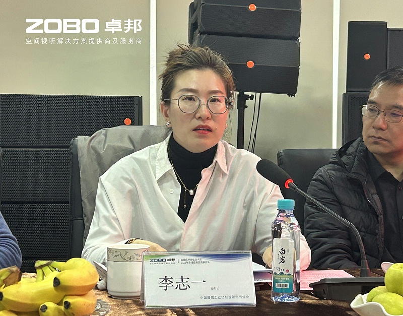 共筑智控新生态 | 2025音视频声光电技术与市场拓展研讨会在ZOBO卓邦召开