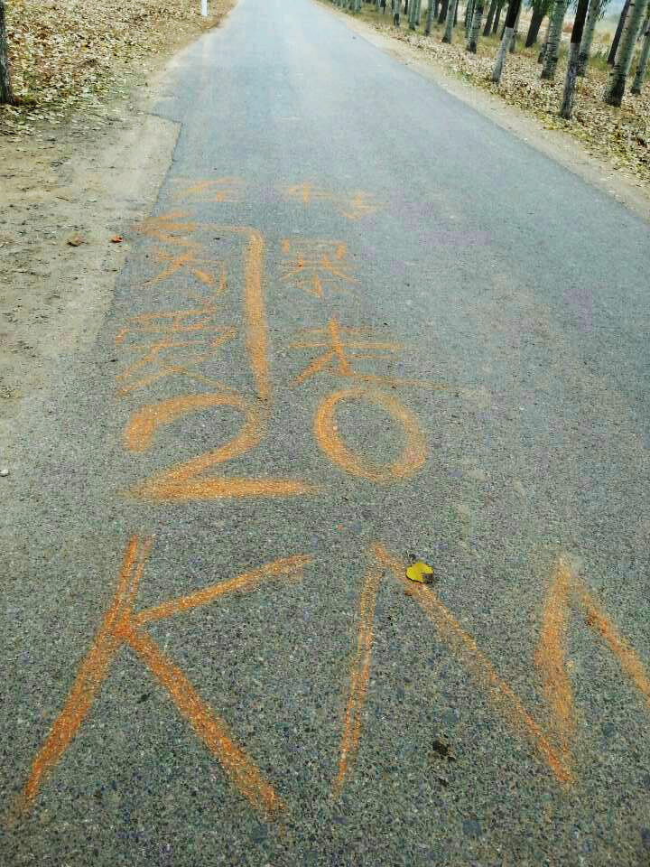 以爱之名，贴地疾行